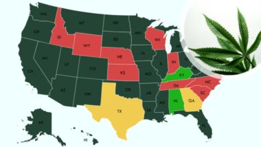 US regulatory tracker: medical and recreational cannabis